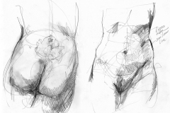 Studies_Front_Back